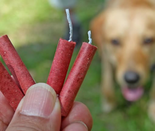 honden vuurwerk pakket